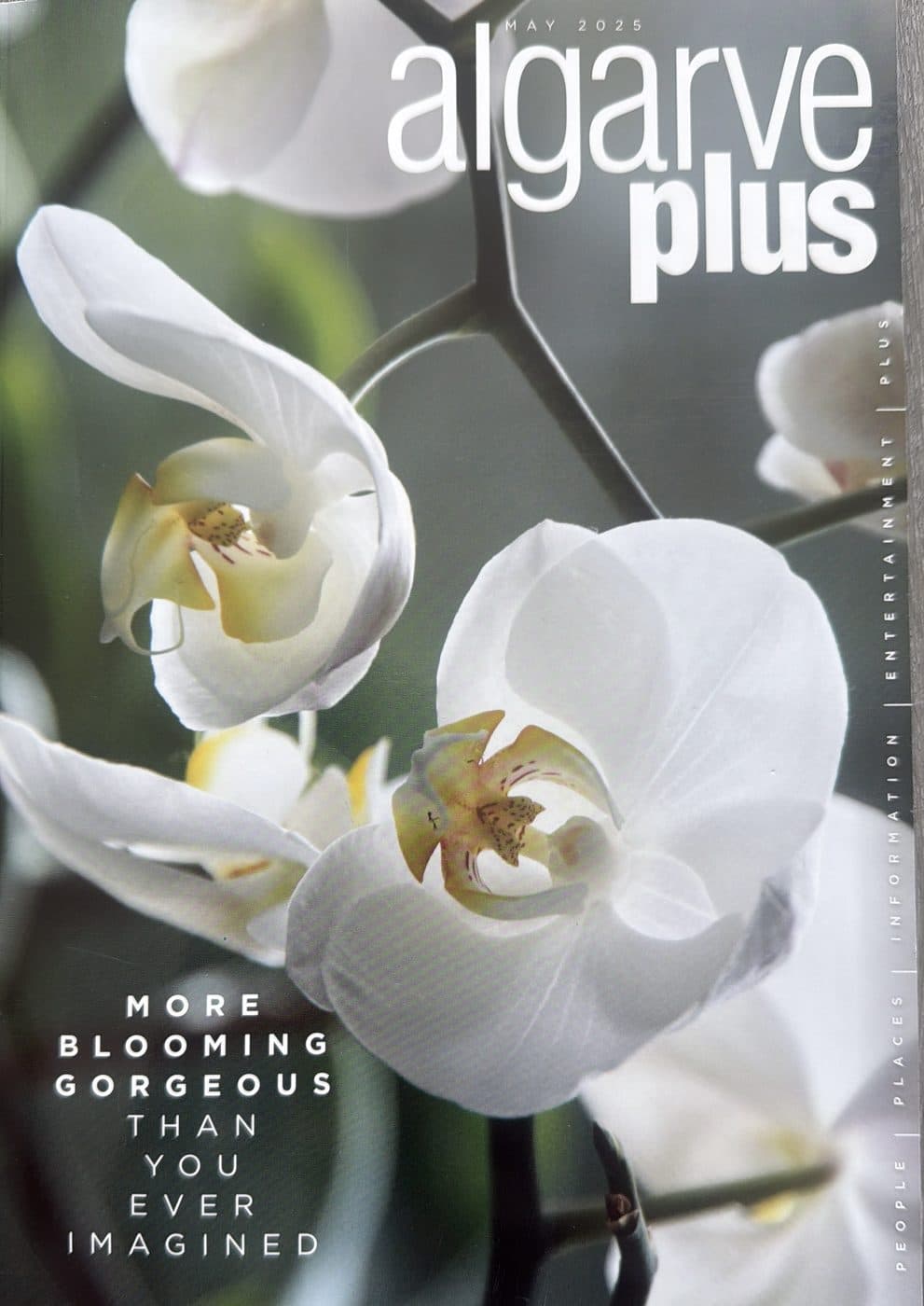 AlgarvePLUS Magazine, May 2025